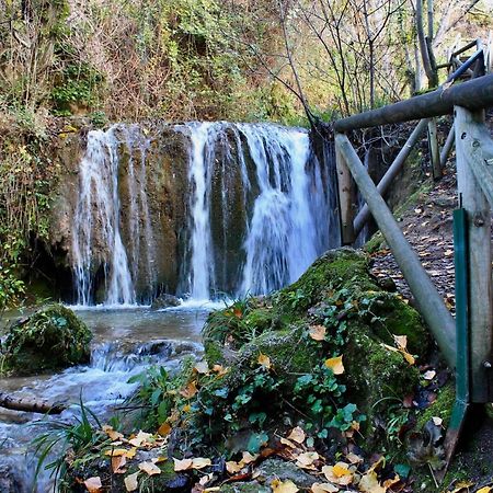 Alojamiento Rural Fuente De La Glorieta Cazorla Eksteriør bilde