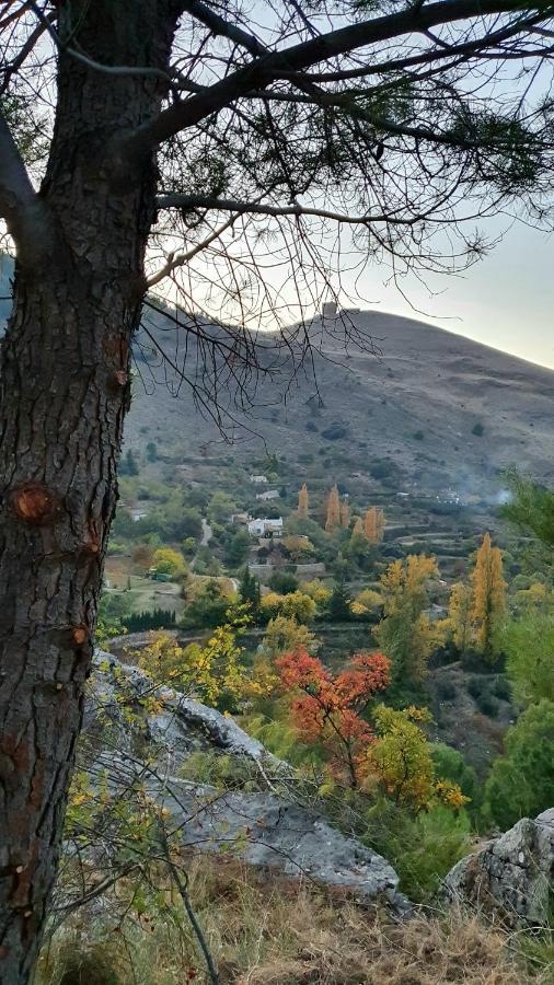 Alojamiento Rural Fuente De La Glorieta Cazorla Eksteriør bilde